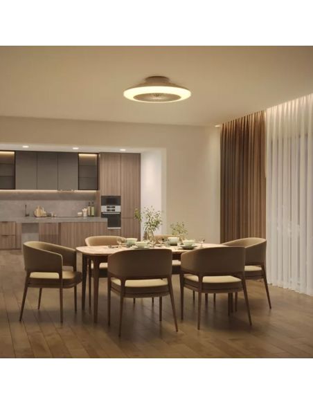 Ventilateur LED AMIGO Ciel étoilé 57 cm 25 W + 60 W 6500 lm CCT à intensité variable avec télécommande IP20