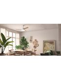 Ventilador de techo LED 36W RIGA II WOOD madera negro natural Ø120cm DC 32W 3 aspas CCT regulable IP20