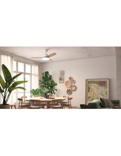 Ventilador de techo LED 36W RIGA II WOOD madera negro/nogal Ø120cm DC 32W 3 aspas CCT regulable IP20 2