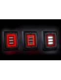 Piloto Trasero LED FT-324 FR1 con Marco 12V-30V Marcha Atrás y Antiniebla R1 F1 AR