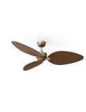 Ventilateur de plafond ALMA L sans éclairage, Ø 132 cm, laiton, bois foncé, 3 pales, intérieur/extérieur, 40 W CC, IP44