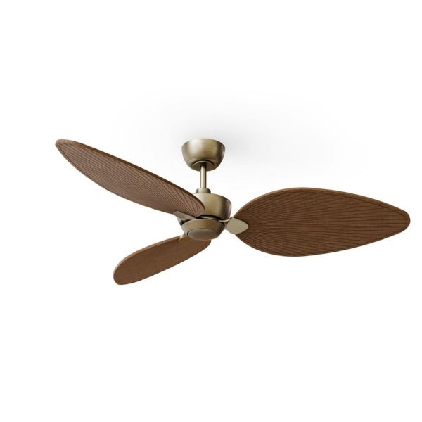 Ventilador de techo sin luz ALMA L Ø132cm latón madera oscura 3 palas, interior exterior DC 40W IP44