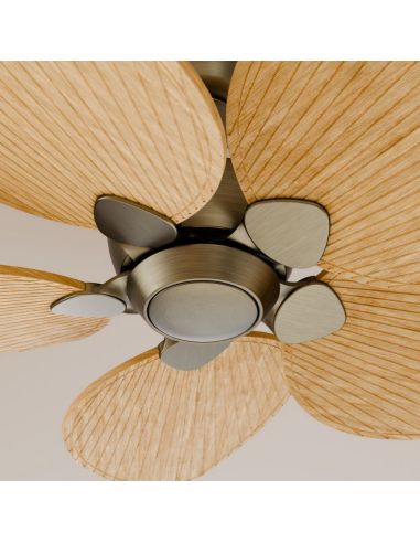 Ventilador de techo ALMA L Ø132cm 5 palas sin luz latón madera clara, DC 40W IP44 interior exterior