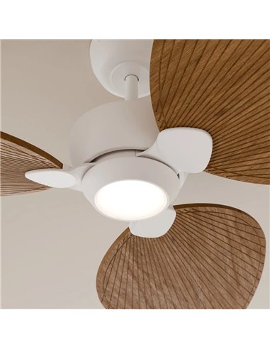 Ventilador de techo LED ALMA S Ø100cm 3 palas blanco madera media 26W DC, luz 6,5W 1225Lm CTT DIM IP44