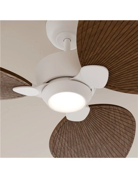 Ventilateur de plafond ALMA S LED Ø100 cm, 3 pales, blanc, aspect bois foncé, 26 W CC, éclairage 6,5 W, 1225 lm, CTT DIM, IP44