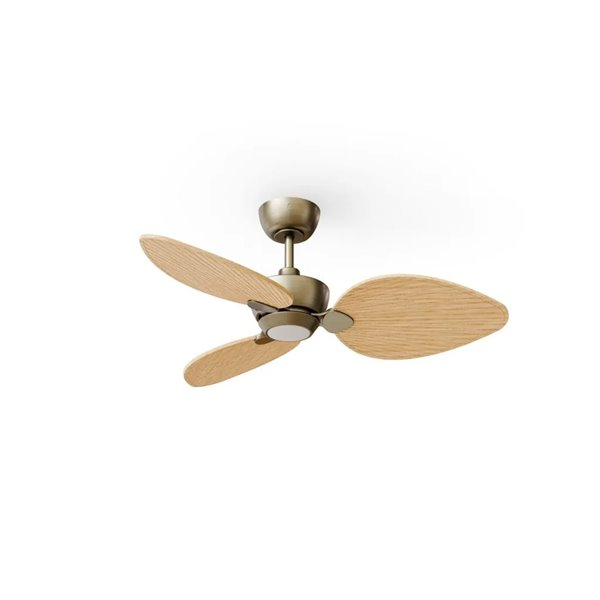 Ventilador con luz LED ALMA S Ø100cm 3 palas latón madera clara 26W DC + luz LED 6,5W 1225Lm CTT interior/exterior IP44