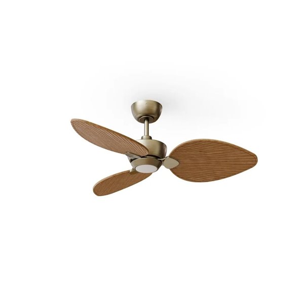 Ventilador con luz LED ALMA S Ø100cm 3 palas latón madera media 26W DC + luz LED 6,5W 1225Lm CTT interior/exterior IP44