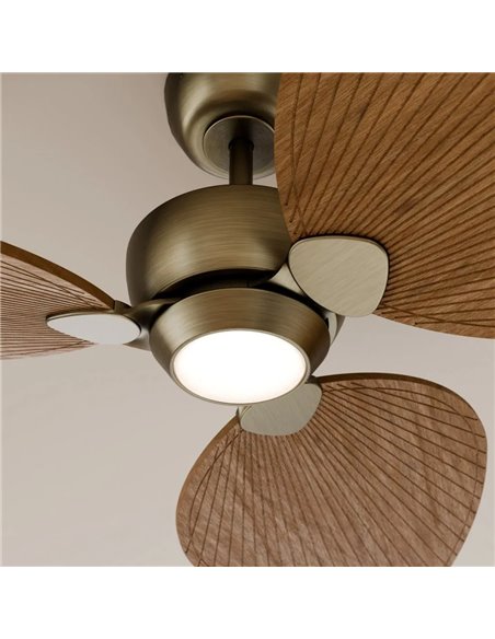 Ventilador con luz LED ALMA S Ø100cm 3 palas latón madera media 26W DC + luz LED 6,5W 1225Lm CTT interior/exterior IP44