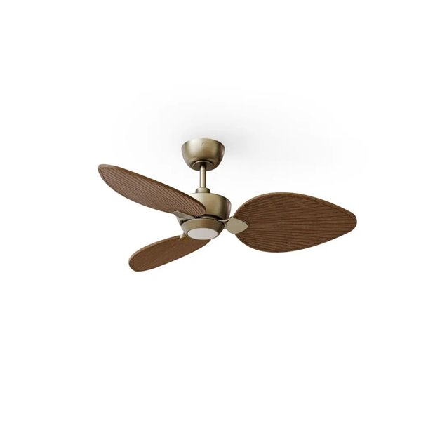 Ventilador con luz LED ALMA S Ø100cm 3 palas latón madera oscura 26W DC + luz LED 6,5W 1225Lm CTT interior/exterior IP44