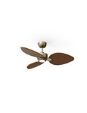 Ventilador con luz LED ALMA S Ø100cm 3 palas latón madera oscura 26W DC + luz LED 6,5W 1225Lm CTT interior/exterior IP44