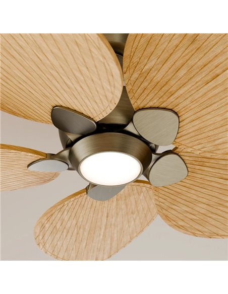 Ventilador con luz LED ALMA S Ø100cm 5 palas latón madera clara 26W DC + luz LED 6,5W 1225Lm CTT interior/exterior IP44