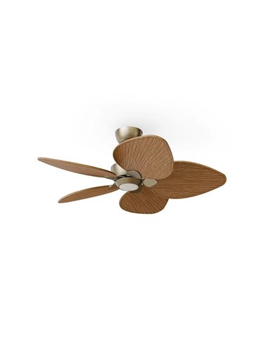 Ventilador con luz LED ALMA S Ø100cm 5 palas latón madera media 26W DC + luz LED 6,5W 1225Lm CTT interior/exterior IP44