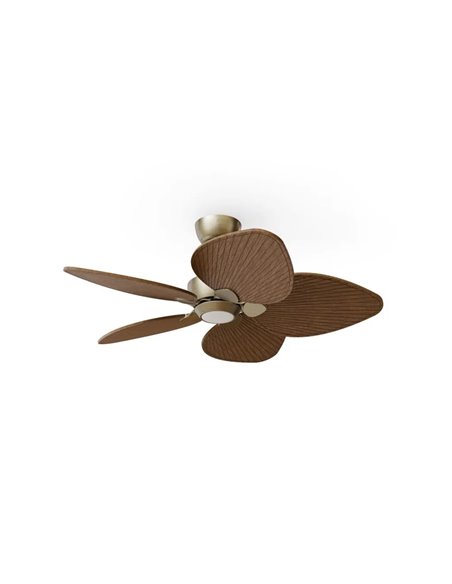 Ventilador con luz LED ALMA S Ø100cm 5 palas latón madera oscura 26W DC + luz LED 6,5W 1225Lm CTT interior/exterior IP44