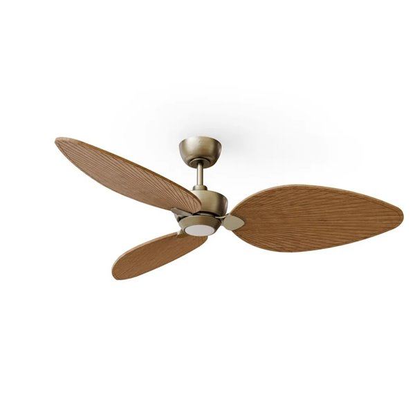 Ventilador de techo LED ALMA L Ø132cm 3 palas latón madera media 40W DC + luz LED 6,5W 1225Lm CTT DIM IP44