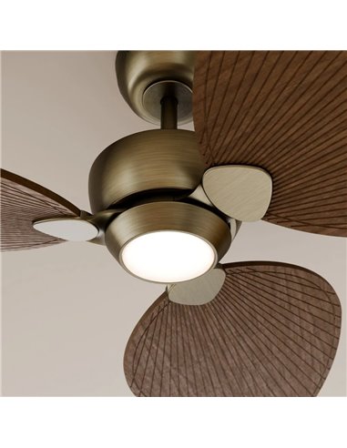 Ventilador con luz LED ALMA L Ø132cm 3 palas latón madera oscura 40W DC + luz LED 6,5W 1225Lm CTT IP44
