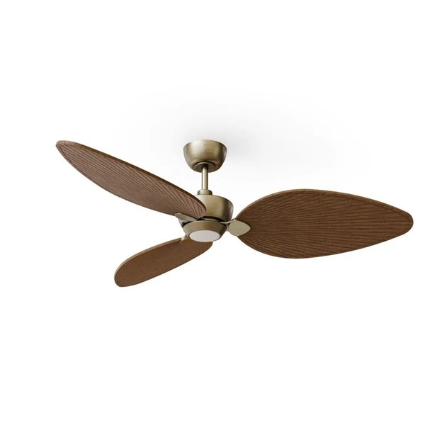 Ventilador con luz LED ALMA L Ø132cm 3 palas latón madera oscura 40W DC + luz LED 6,5W 1225Lm CTT IP44