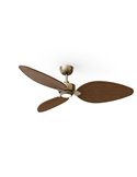 Ventilador con luz LED ALMA L Ø132cm 3 palas latón madera oscura 40W DC + luz LED 6,5W 1225Lm CTT IP44