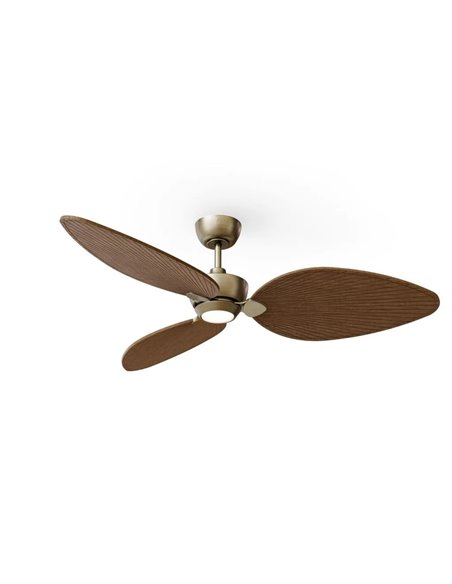 Ventilador con luz LED ALMA L Ø132cm 3 palas latón madera oscura 40W DC + luz LED 6,5W 1225Lm CTT IP44