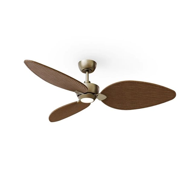 Ventilador con luz LED ALMA L Ø132cm 3 palas latón madera oscura 40W DC + luz LED 6,5W 1225Lm CTT IP44
