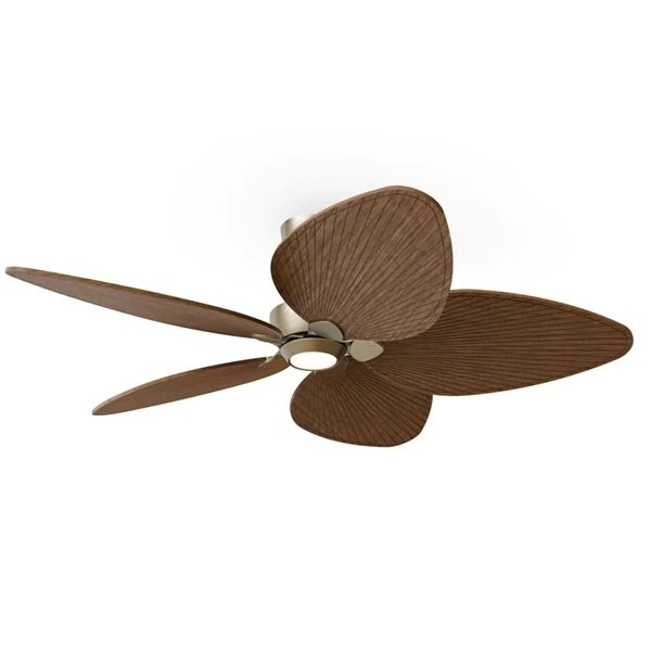 Ventilateur de plafond ALMA L LED Ø132 cm, 5 pales, laiton, bois foncé, 40 W CC + 6,5 W, éclairage LED 1225 lm, CTT DIM, IP44