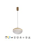 OASIS 12W Gold Ovale LED-Pendelleuchte, Ø39 cm, 3000K Dimmbar TRIAC, 420Lm
