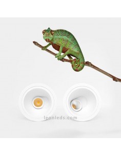 Pointer LED Downlight orientable redondo de Arkos Light Blanco | Downlight LED orientable | LeonLeds.com 2