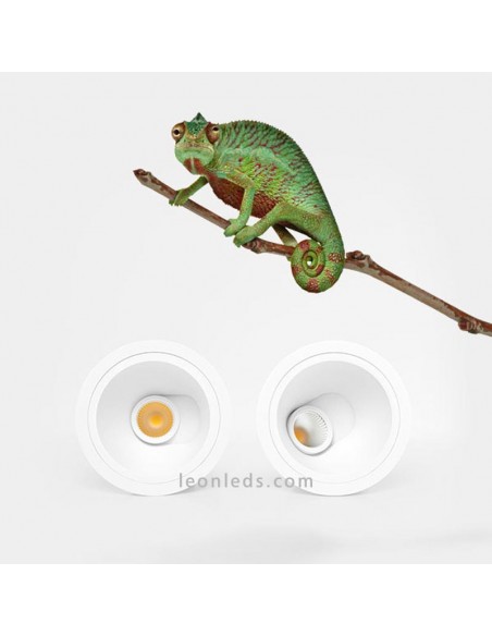 Redondo Ajustável Ponteiro LED Downlight por Arkos Light | Downlight LED ajustável | LeonLeds.com