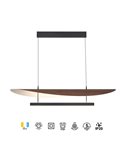 Suspension LED ABISAL 48W, 3000K, dimmable TRIAC, 2610 lm, design organique avec diffuseur et module linéaire