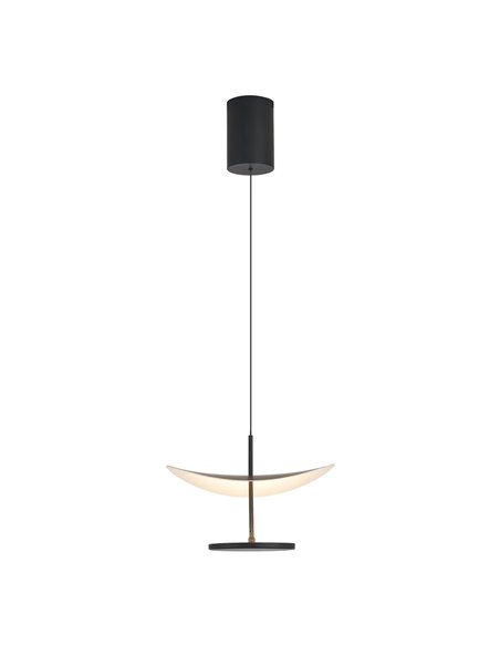 Lámpara colgante LED 12W Abisal 3000K Ø30cm diseño moderno negro y madera