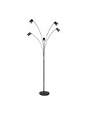 Lampadaire noir MARLEY 5xGU10 réglable 180cm avec interrupteur IP20 (ampoules non incluses)