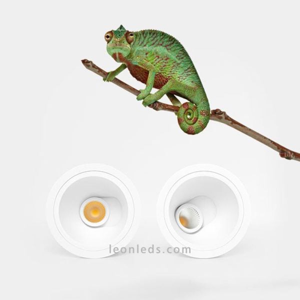 Pointer LED Einbaustrahler...