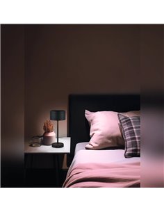 Lampe à dessert LED JEFF noire 1,5 W 120 lm 3000 K Écran tactile Portable USB IP20 2