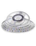 SMD-LED-Streifen 12 V 6 W/m 500 lm | Erhältlich in Warmweiß (3000 K) und Kaltweiß (6400 K) - Schutzart IP20