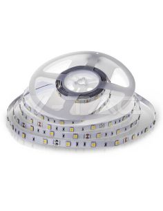 Tira LED SMD 12V 6W/m 500lm | Disponible en Blanco Cálido (3000K) y Frío (6400K) - IP20