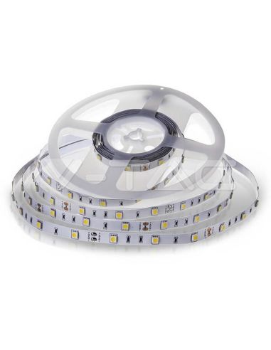 Bande LED SMD 12 V 6 W/m 500 lm | Disponible en blanc chaud (3000 K) et blanc froid (6400 K) - IP20