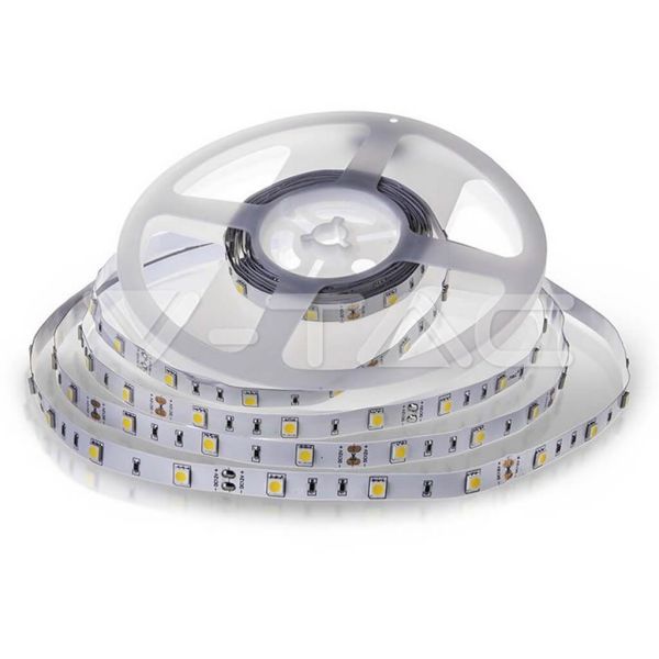 SMD-LED-Streifen 12 V 6 W/m 500 lm | Erhältlich in Warmweiß (3000 K) und Kaltweiß (6400 K) - Schutzart IP20
