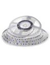 Tira LED SMD 12V 6W/m 500lm | Disponible en Blanco Cálido (3000K) y Frío (6400K) - IP20