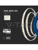 Tira LED 24V 8W/m Chip CREE | 5mm Ultra-Slim | IP20 | Rollo 10 Metros