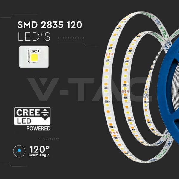 Tira LED 24V 8W/m Chip CREE | 5mm Ultra-Slim | IP20 | Rollo 10 Metros
