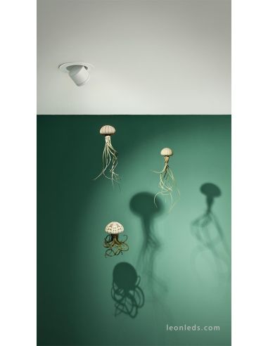 Pop Up LED Arkos Light Preto | Lâmpada embutida LED da Arkos Light | Projetor de LED embutido preto ajustável | Leon Iluminação 