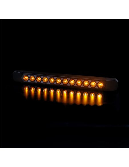 Piloto Delantero LED Multifunción LIZARD LZD 3143 | Intermitente Dinámico y Posición | 12V 24V | A 1