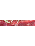 Panel LED 60x60 para iluminar carnes rojas | Panel LED especial alimentación | LeonLeds Iluminación