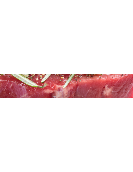 Panel LED 60x60 para iluminar carnes rojas | Panel LED especial alimentación | LeonLeds Iluminación