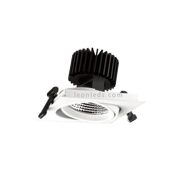 Donwlight LED cuadrado Aster 1C  especial carnes rojas | Downlight LED Leds Factory especial alimentación | LeonLeds Iluminación