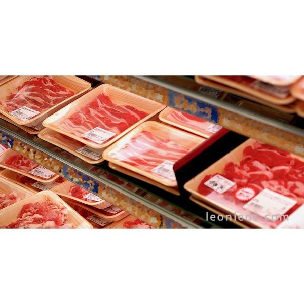 Leds Factory Aster 1C Downlight LED spécial viande rouge | Éclairage de puissance spécial LeonLeds