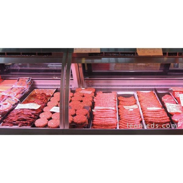 Leds Factory Aster 1C Downlight LED spécial viande rouge | Éclairage de puissance spécial LeonLeds