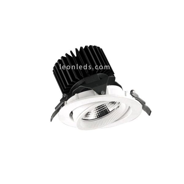 Downlight LED redondo orientable Leds Factory para carnes rojas Aster R Meat | LeonLeds Iluminación alimentación LED