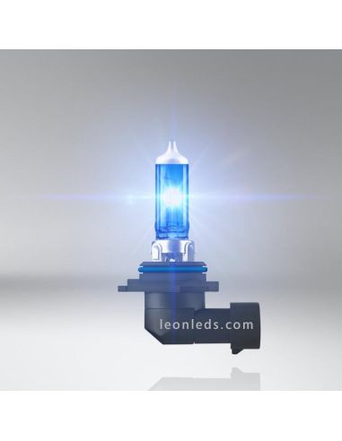 Ampoules Halogènes H11 Lumière Blanche 75W au meilleur prix | Éclairage LeonLeds