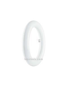 Tubo LED Circular LED T9 -... 2