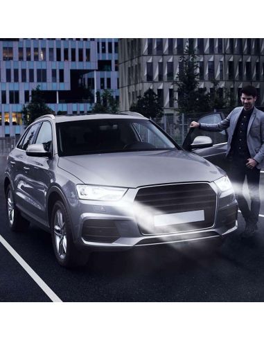 Bombillas Philips Whitevision D1S | LeonLeds Bombillas Xenón